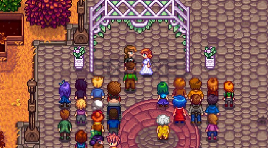 Как старому парню, играющему в Stardew Valley, мне должно быть разрешено встречаться с водителем автобуса.
