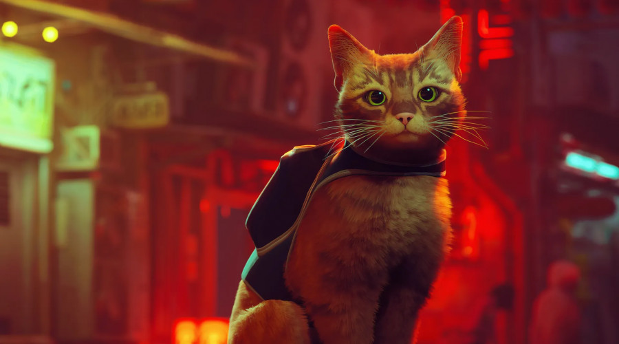 Кентуккийский издатель Route Zero и Stray - Annapurna Interactive - распался, и все его сотрудники массово уволились