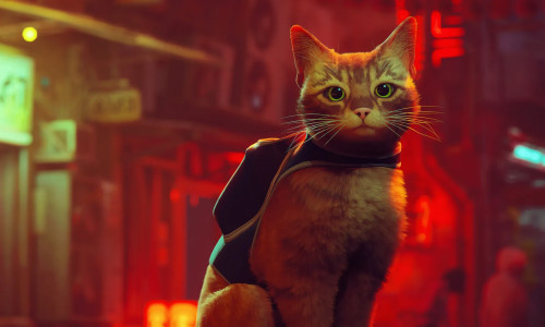 Кентуккийский издатель Route Zero и Stray - Annapurna Interactive - распался, и все его сотрудники массово уволились