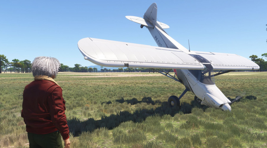 Разработчик Microsoft Flight Simulator 2024 приносит извинения за "ужасный опыт запуска